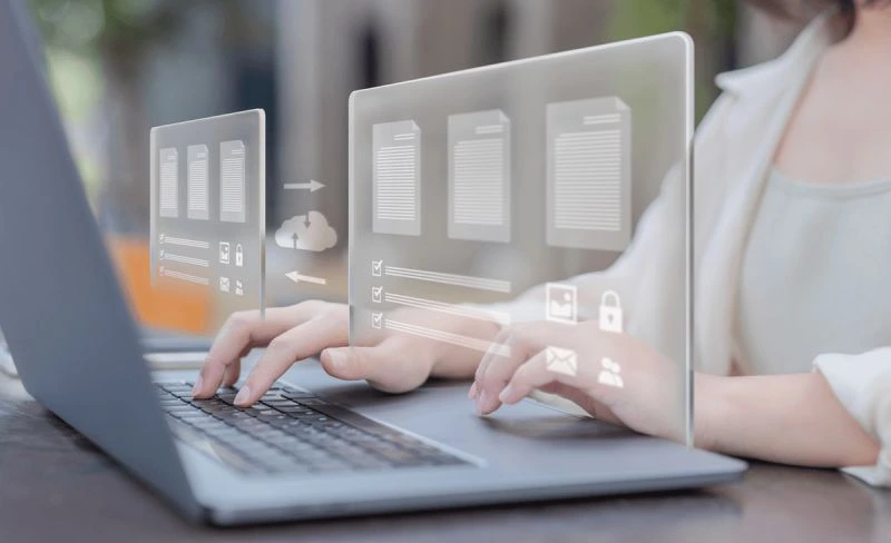 Continuous NetSuite System Support