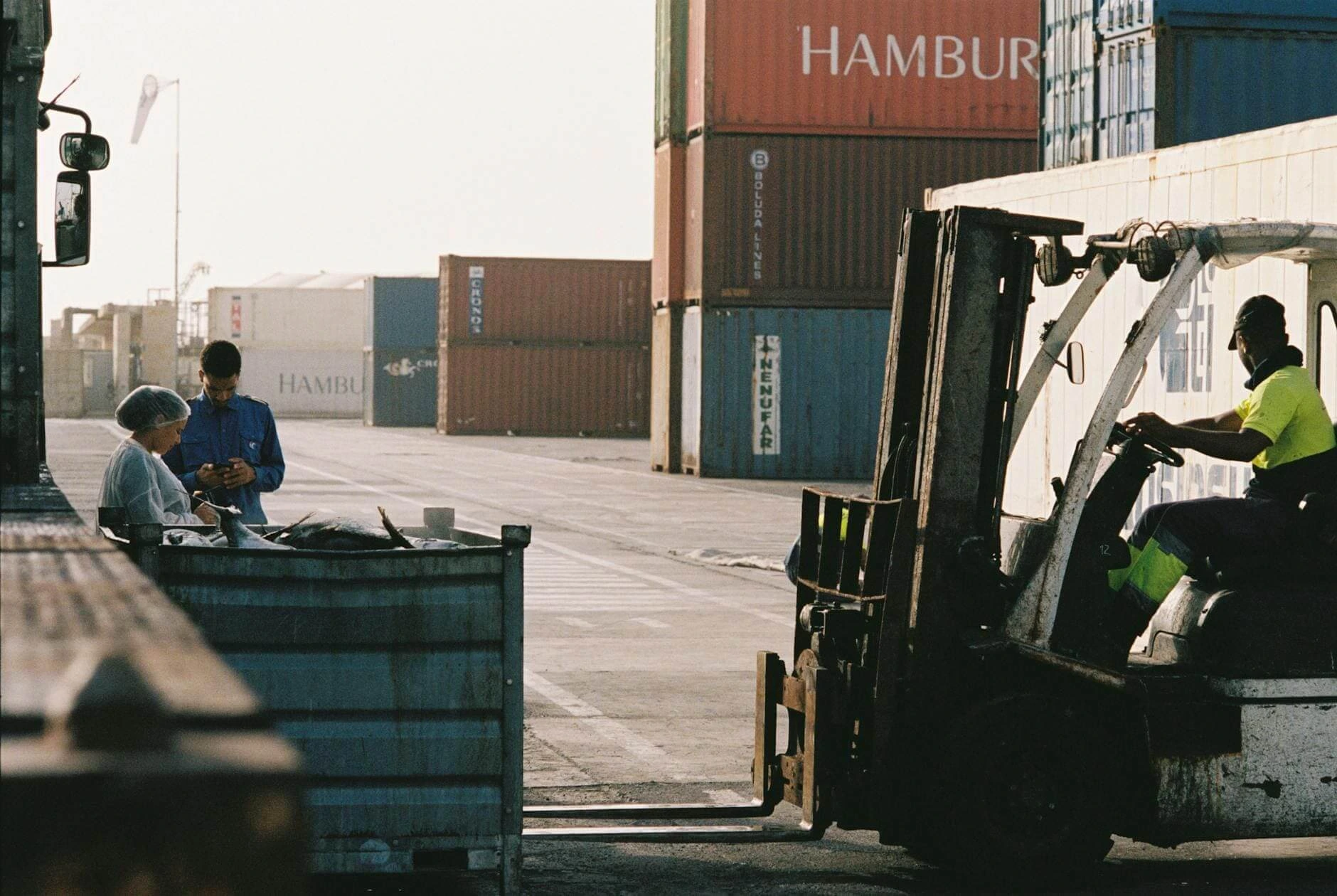 Logistics and Supply Chain